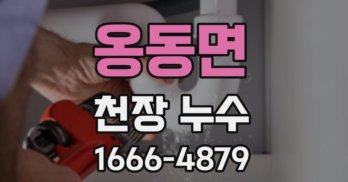 옹동면 천장 누수