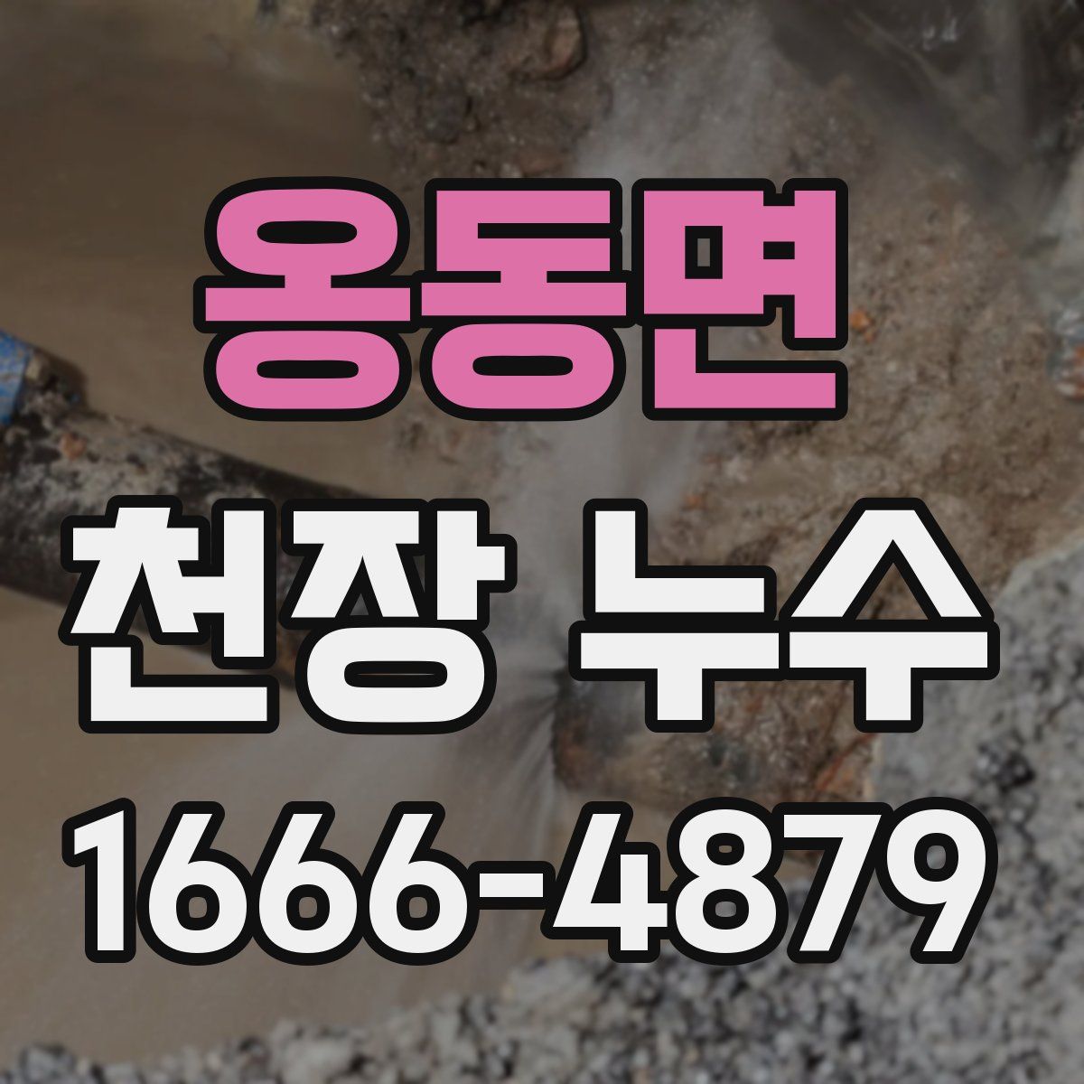 옹동면 천장 누수