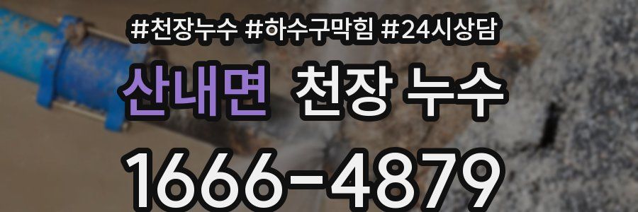 산내면 천장 누수