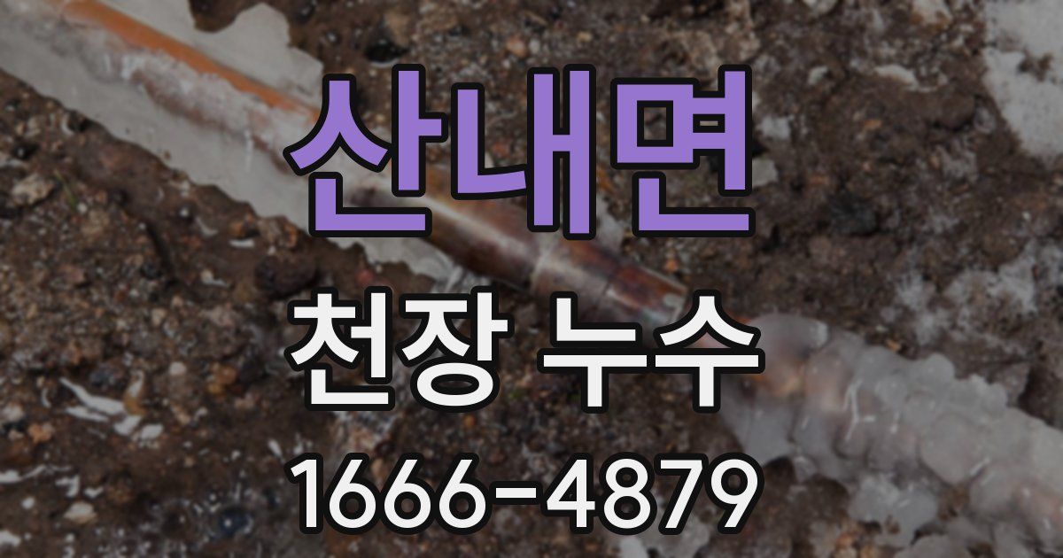 산내면 천장 누수