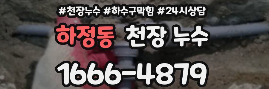 하정동 천장 누수