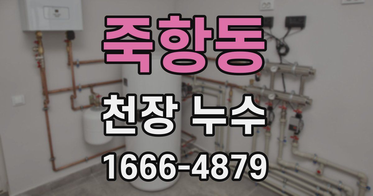 죽항동 천장 누수