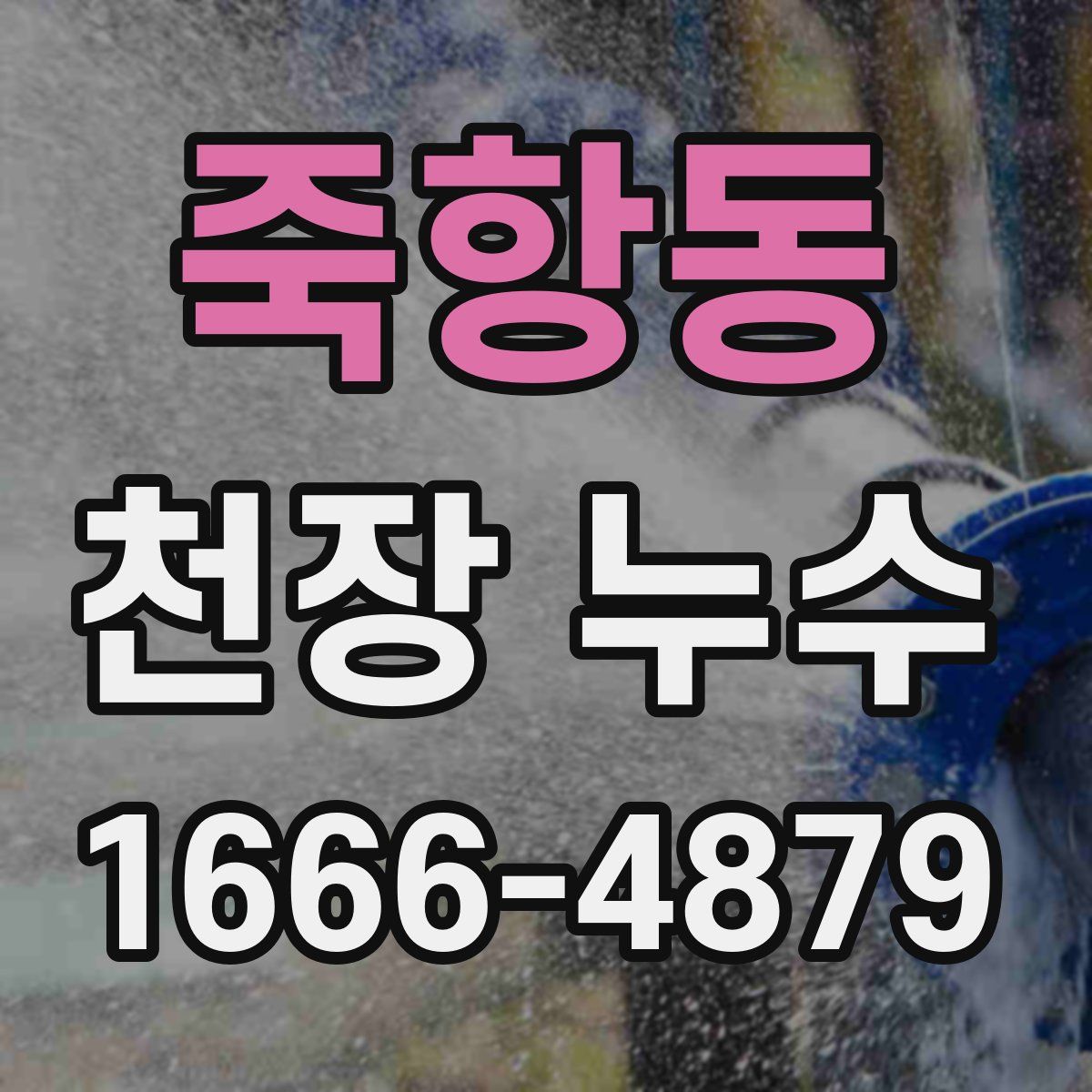 죽항동 천장 누수