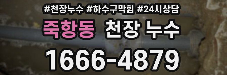 죽항동 천장 누수