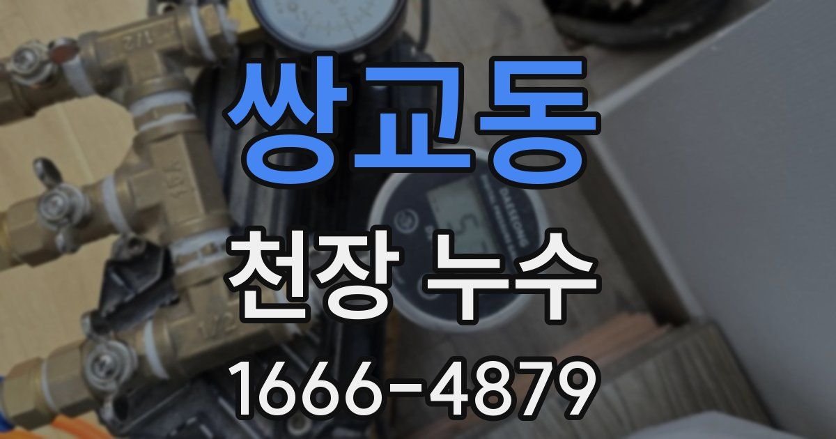 쌍교동 천장 누수