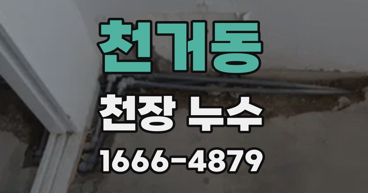 천거동 천장 누수