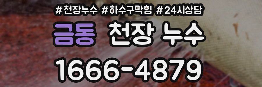 금동 천장 누수