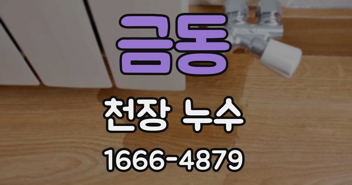 금동 천장 누수