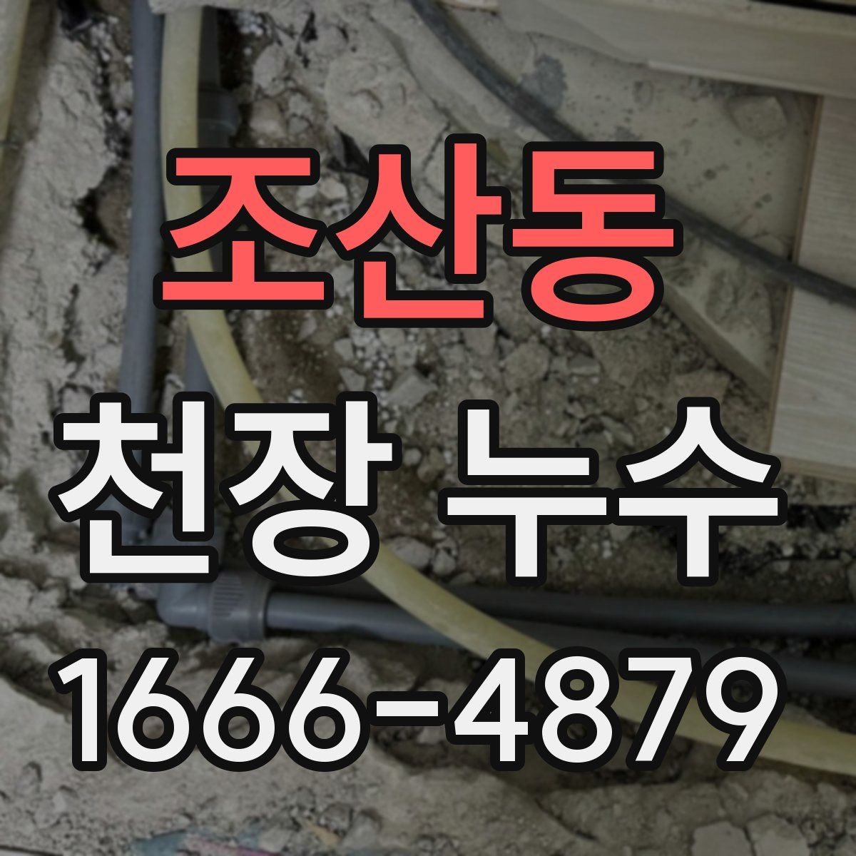 조산동 천장 누수