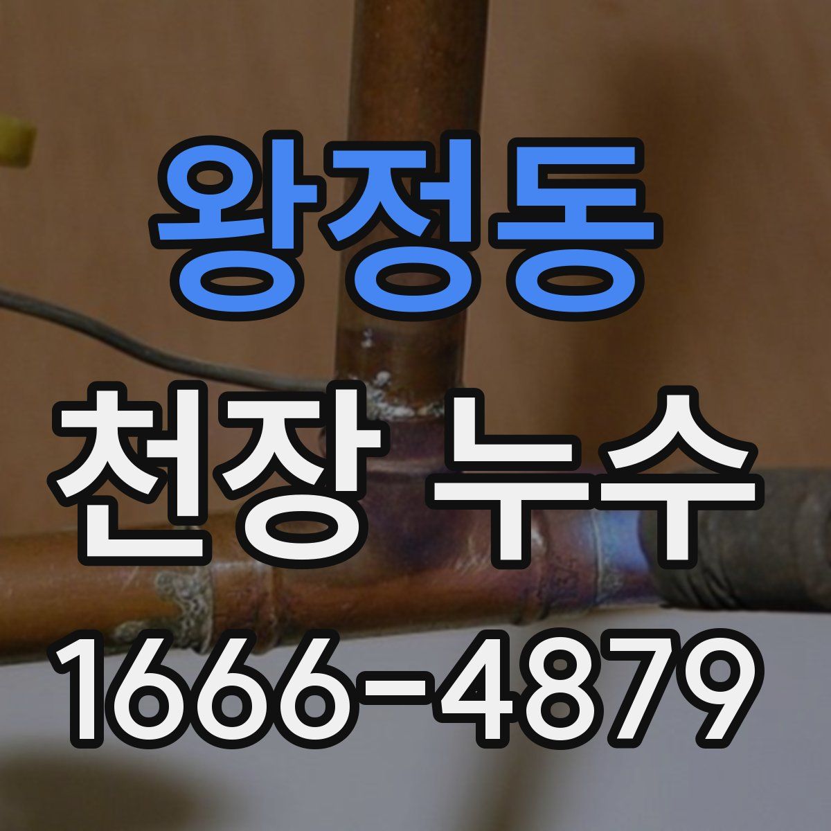 왕정동 천장 누수