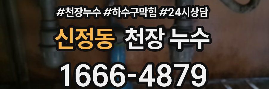 신정동 천장 누수