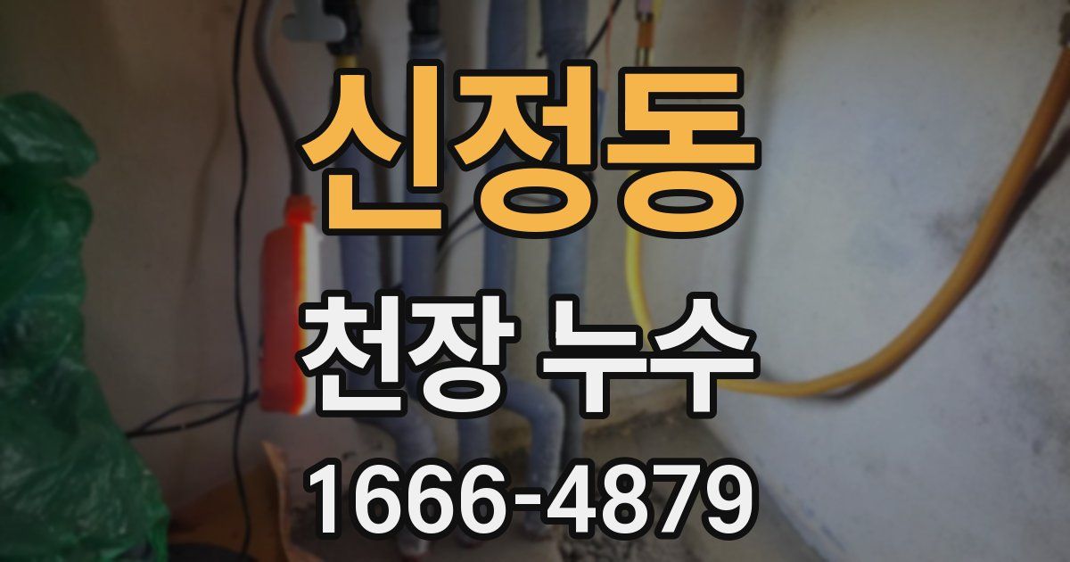 신정동 천장 누수
