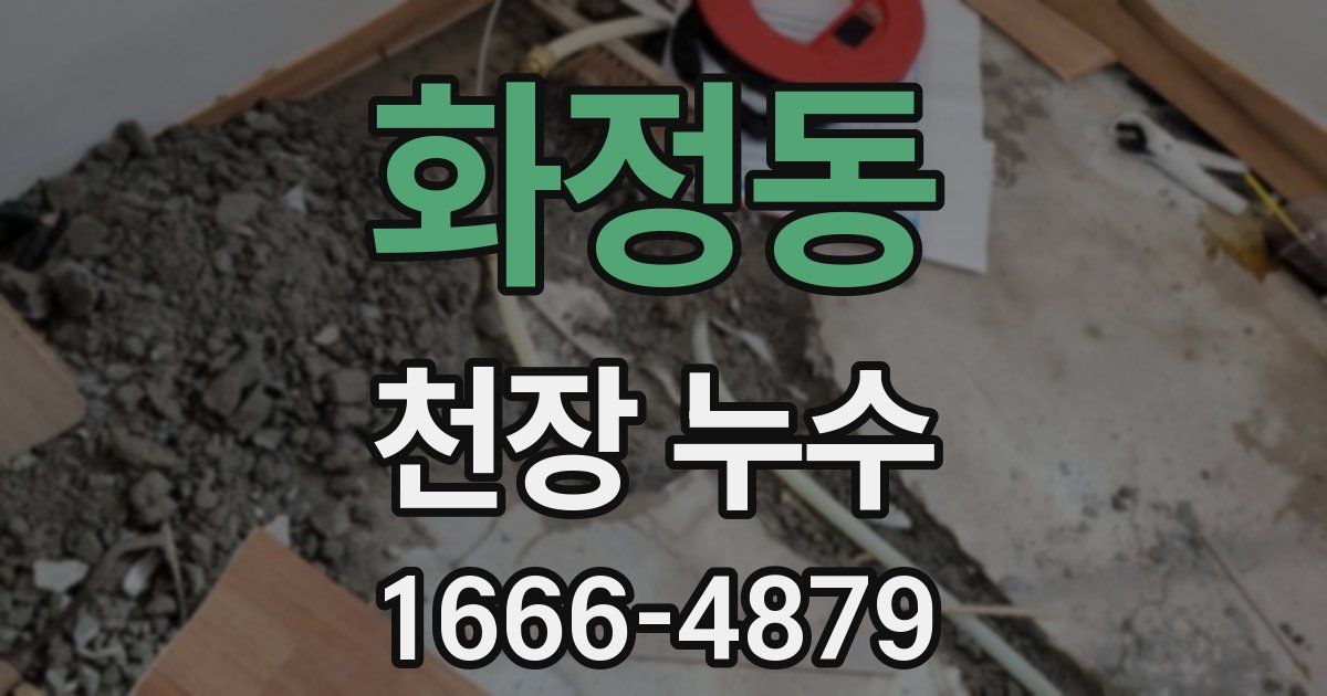 화정동 천장 누수