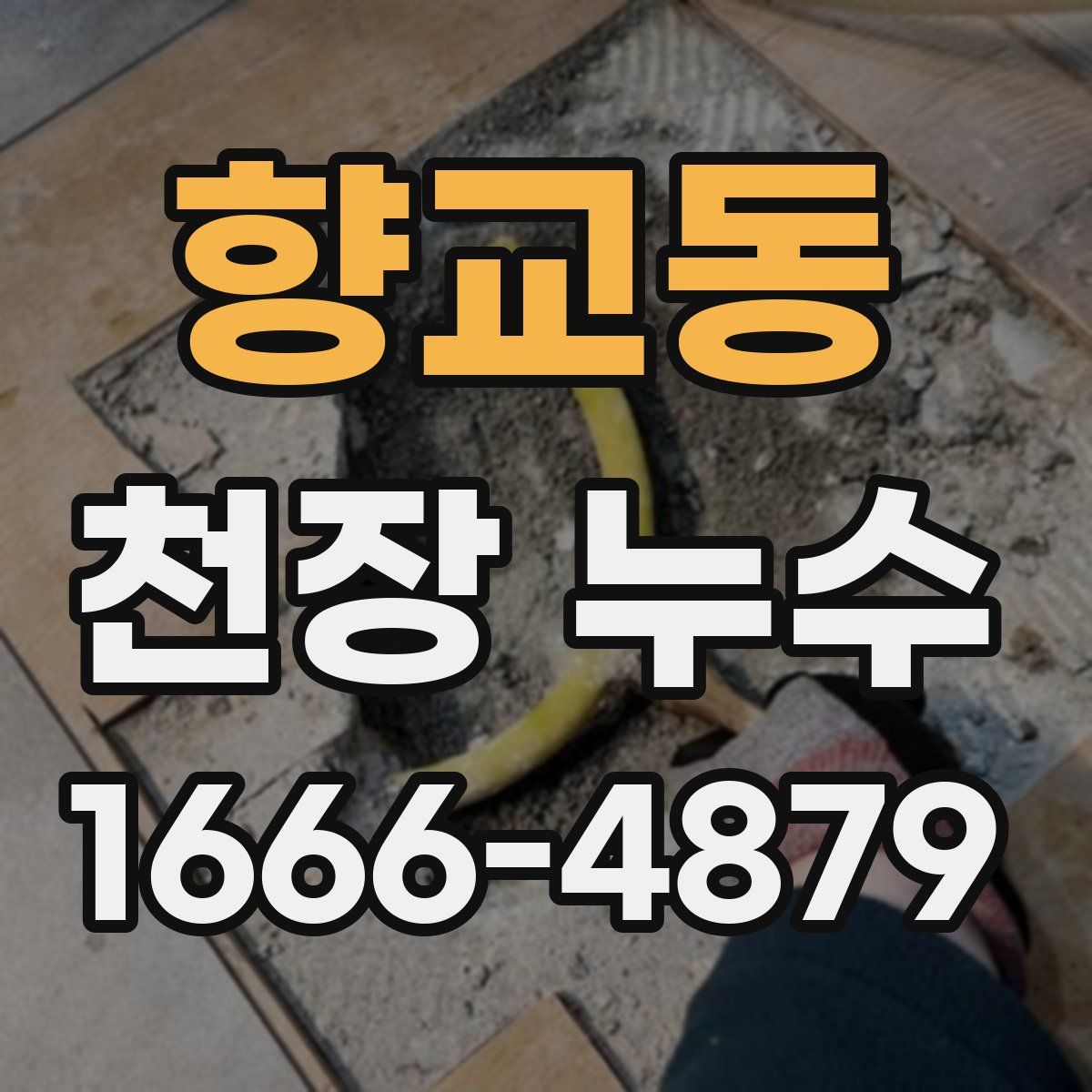 향교동 천장 누수