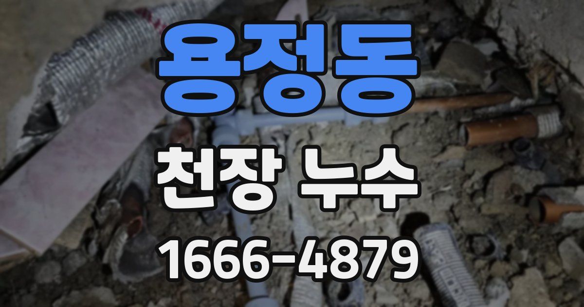 용정동 천장 누수