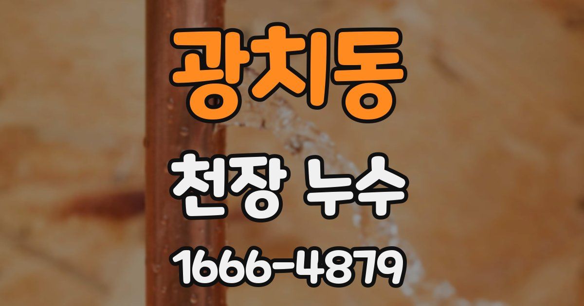 광치동 천장 누수