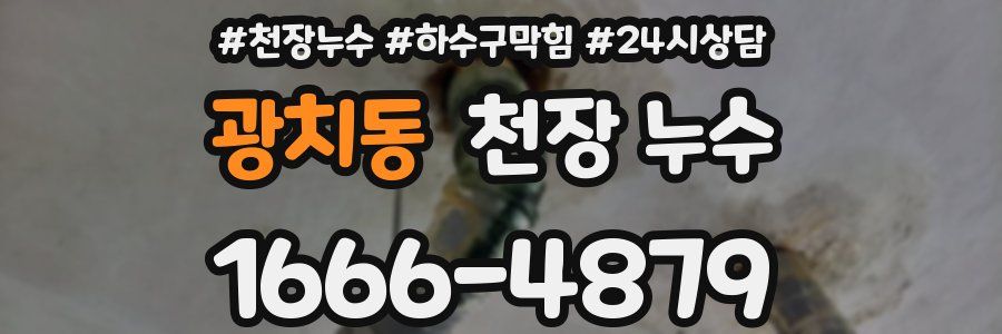 광치동 천장 누수