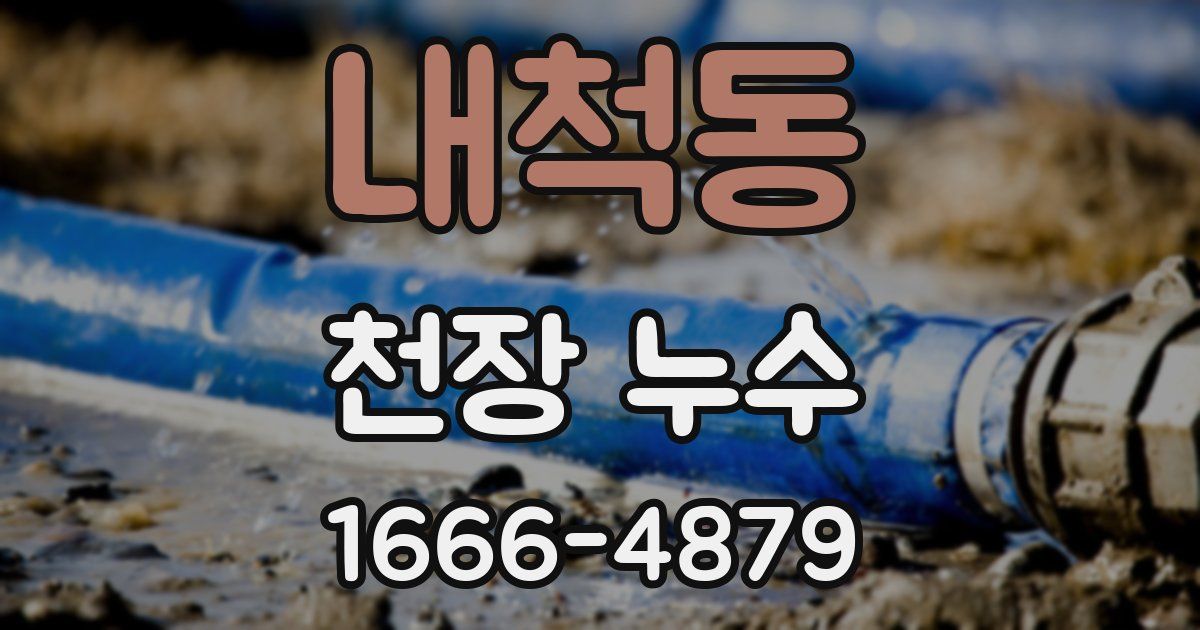 내척동 천장 누수