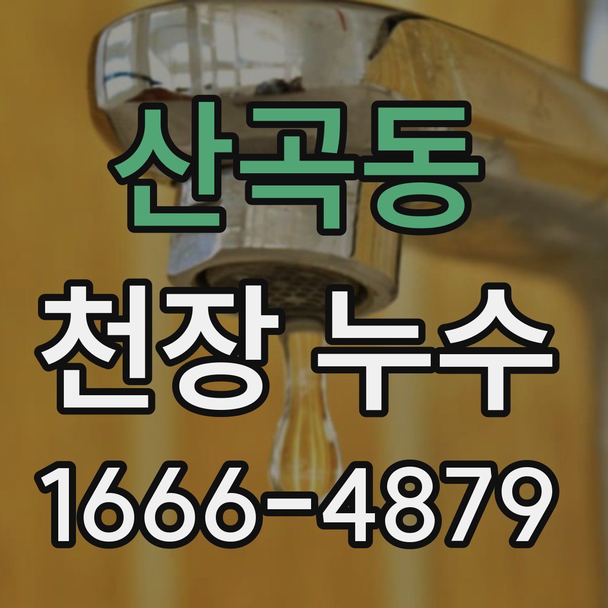 산곡동 천장 누수