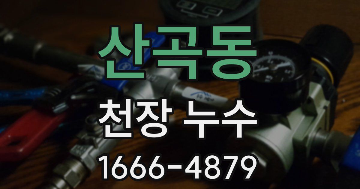 산곡동 천장 누수