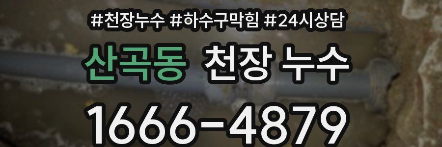 산곡동 천장 누수