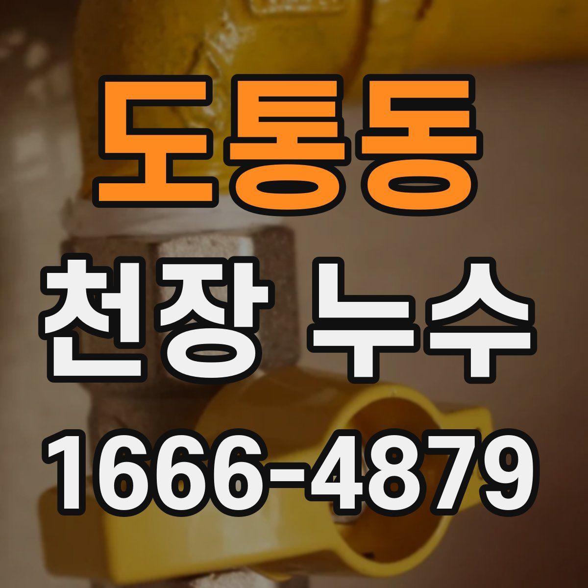 도통동 천장 누수