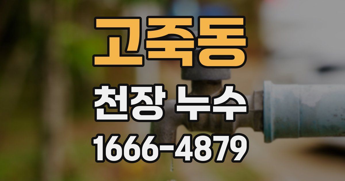 고죽동 천장 누수