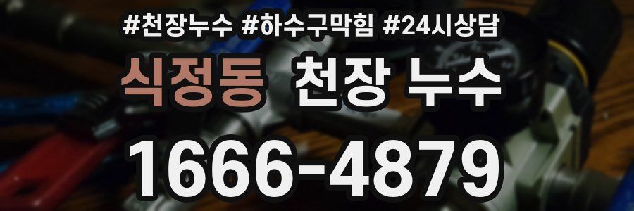 식정동 천장 누수