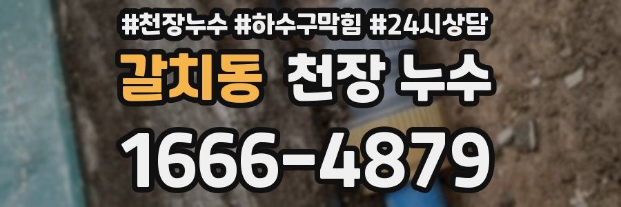 갈치동 천장 누수