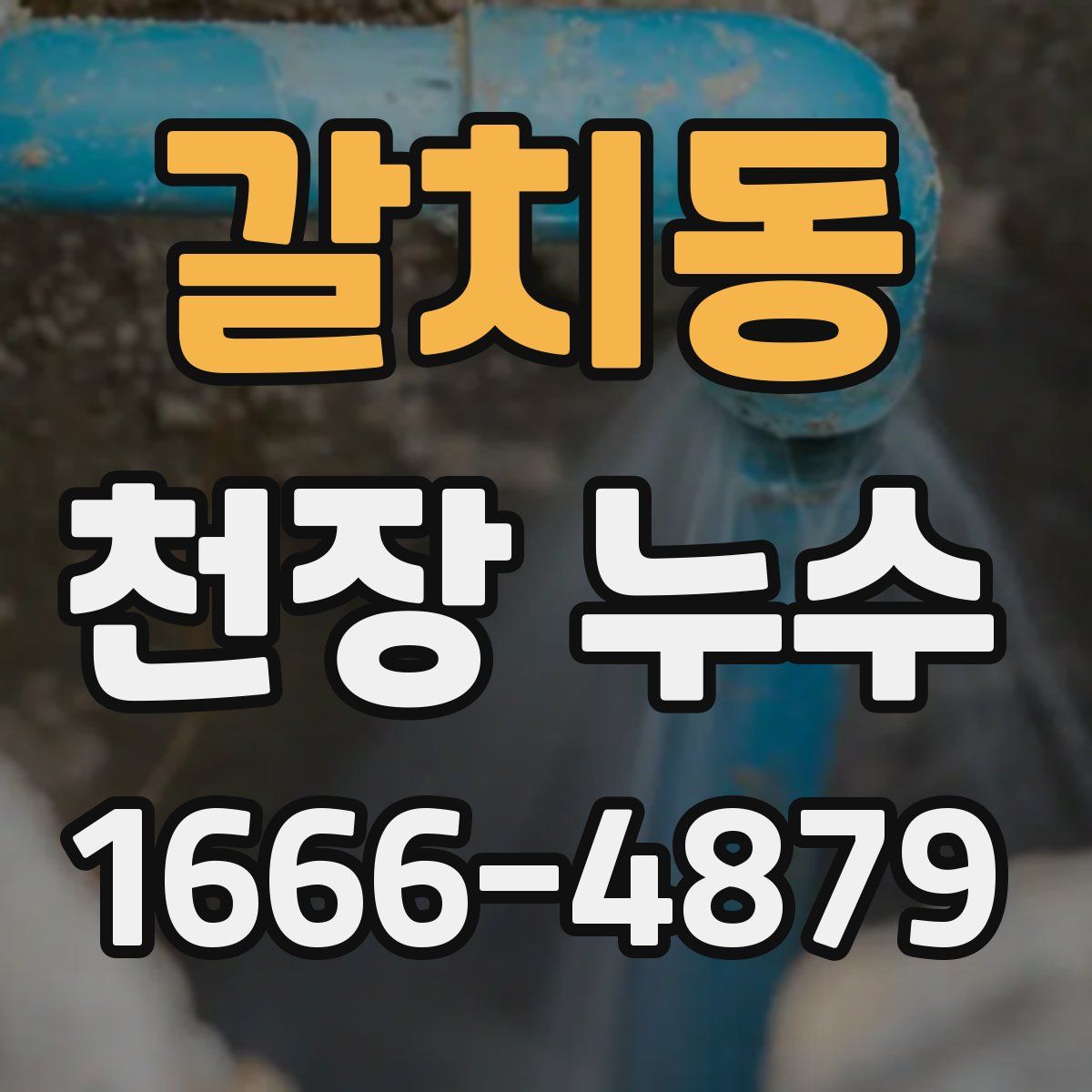 갈치동 천장 누수