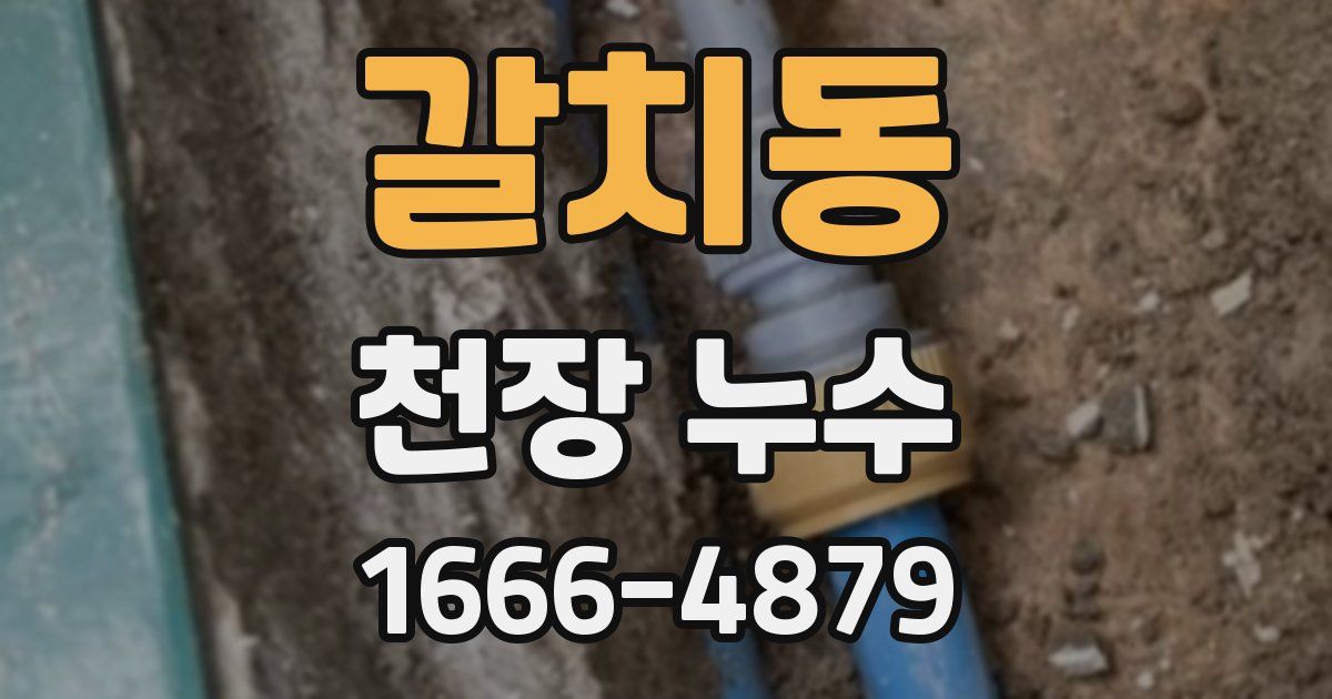 갈치동 천장 누수