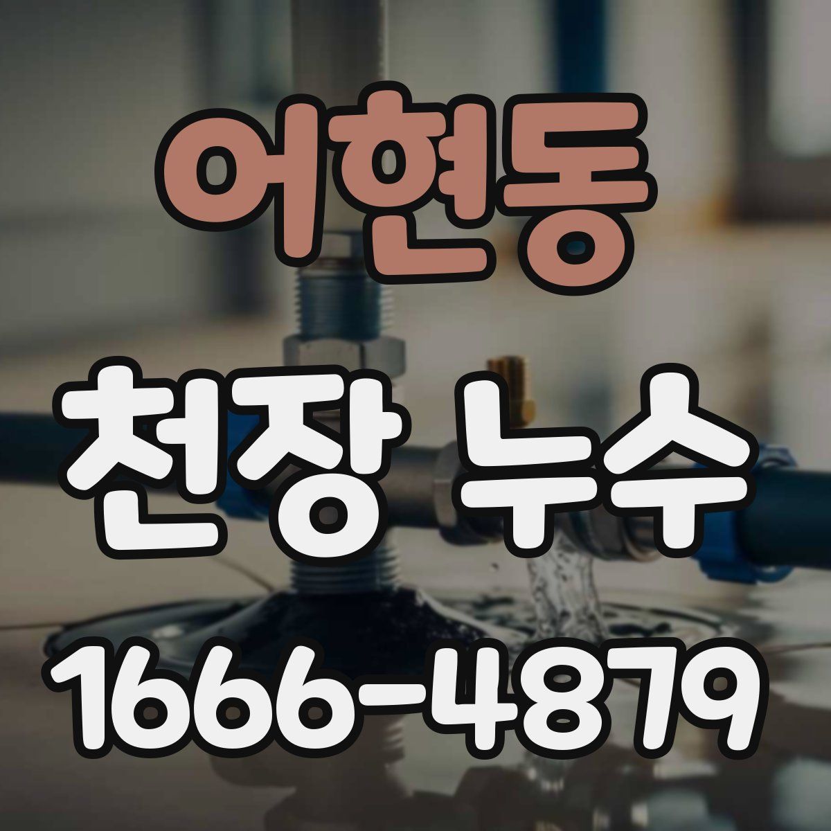 어현동 천장 누수