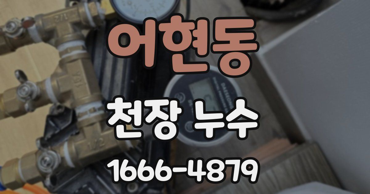 어현동 천장 누수