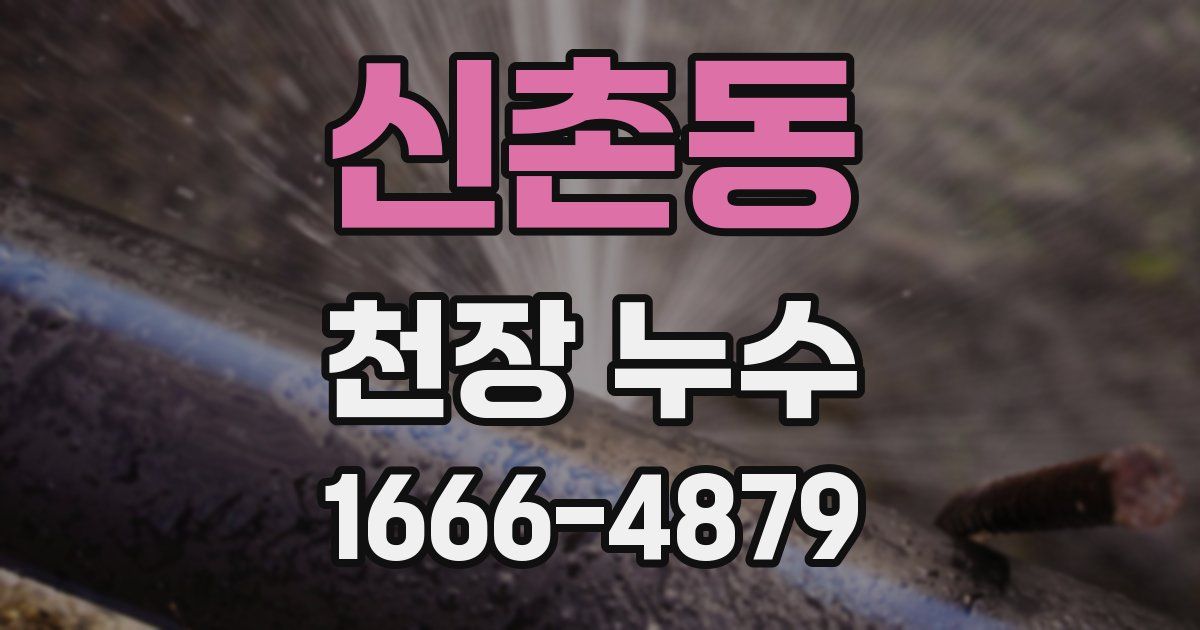 신촌동 천장 누수