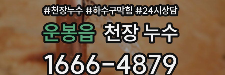 운봉읍 천장 누수