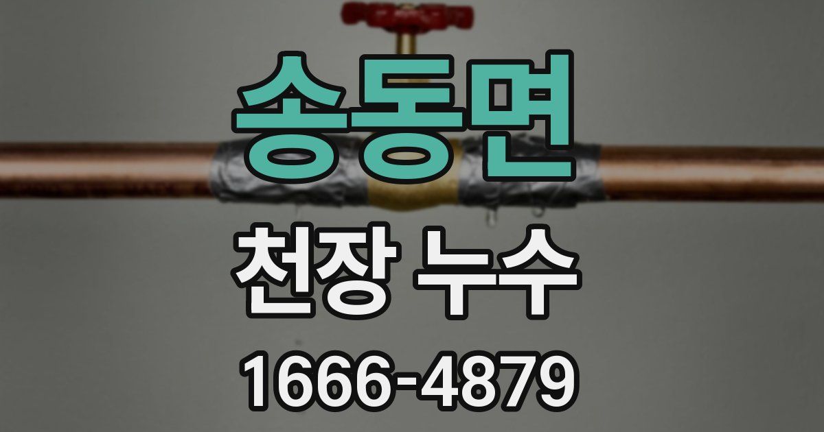 송동면 천장 누수