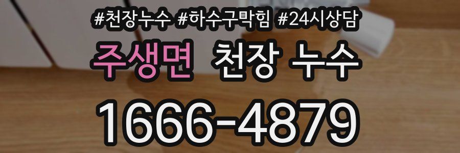 주생면 천장 누수