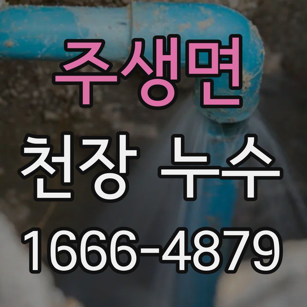 주생면 천장 누수