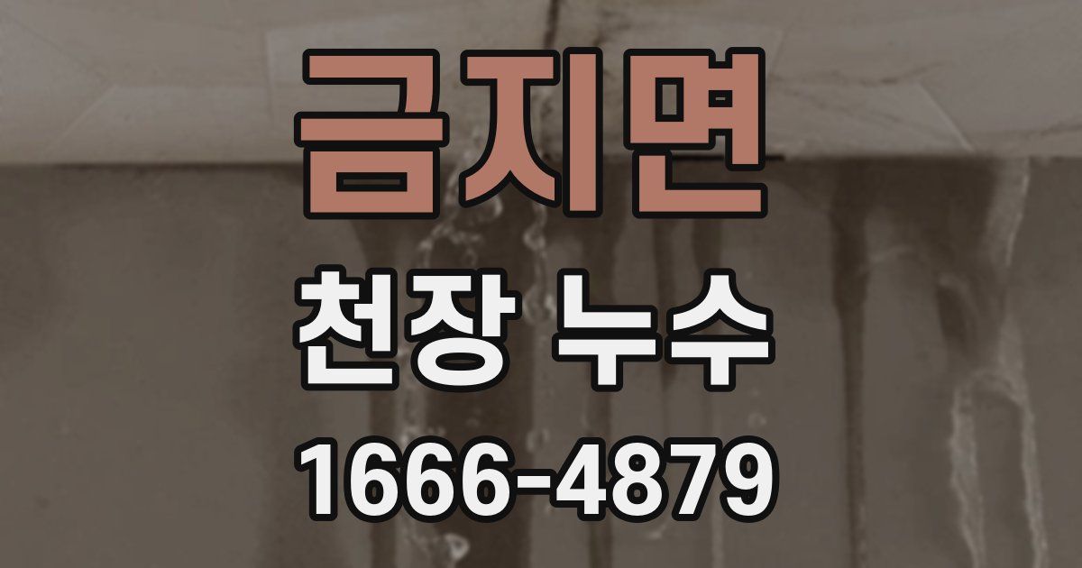 금지면 천장 누수