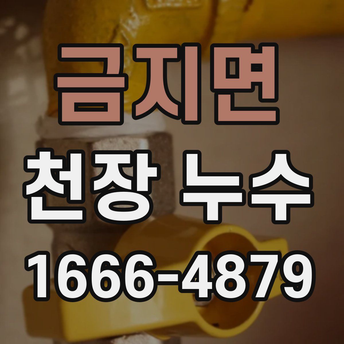 금지면 천장 누수