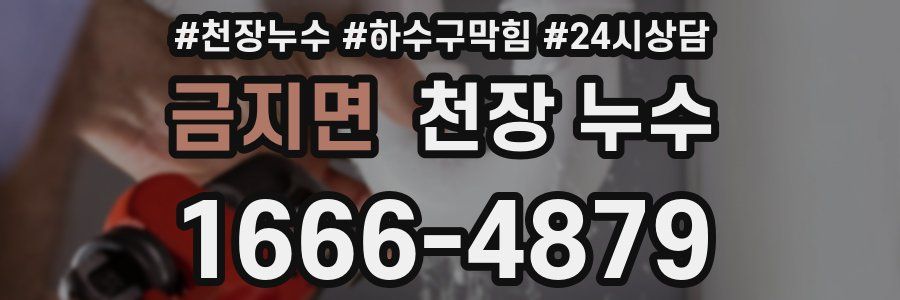 금지면 천장 누수