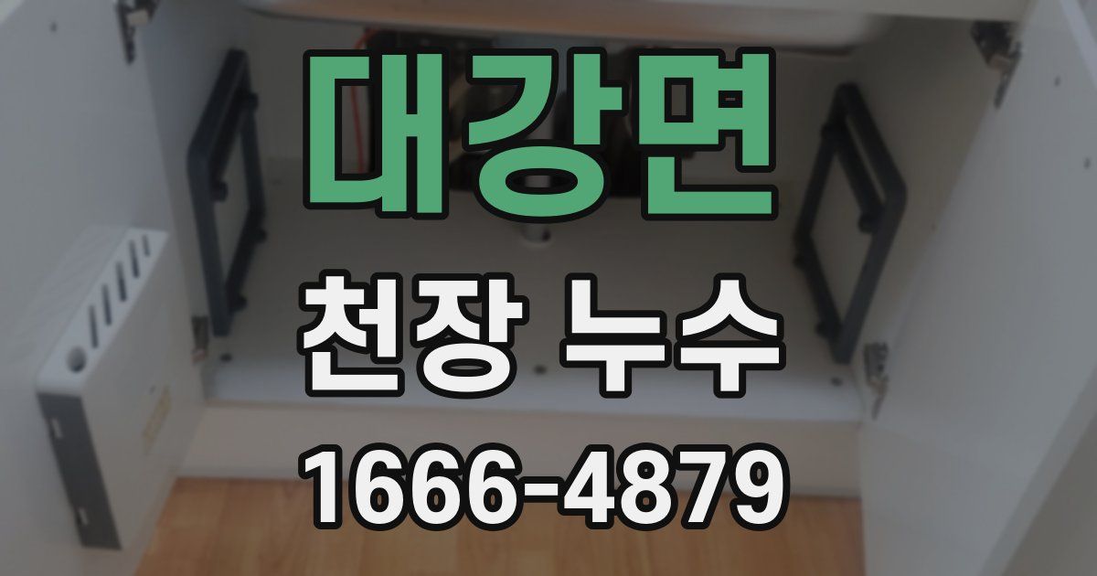 대강면 천장 누수