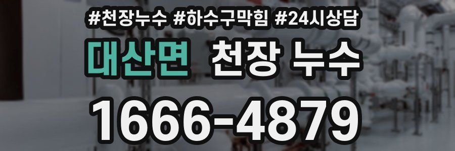 대산면 천장 누수