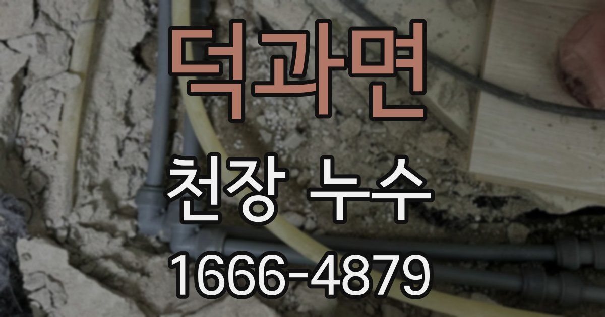 덕과면 천장 누수