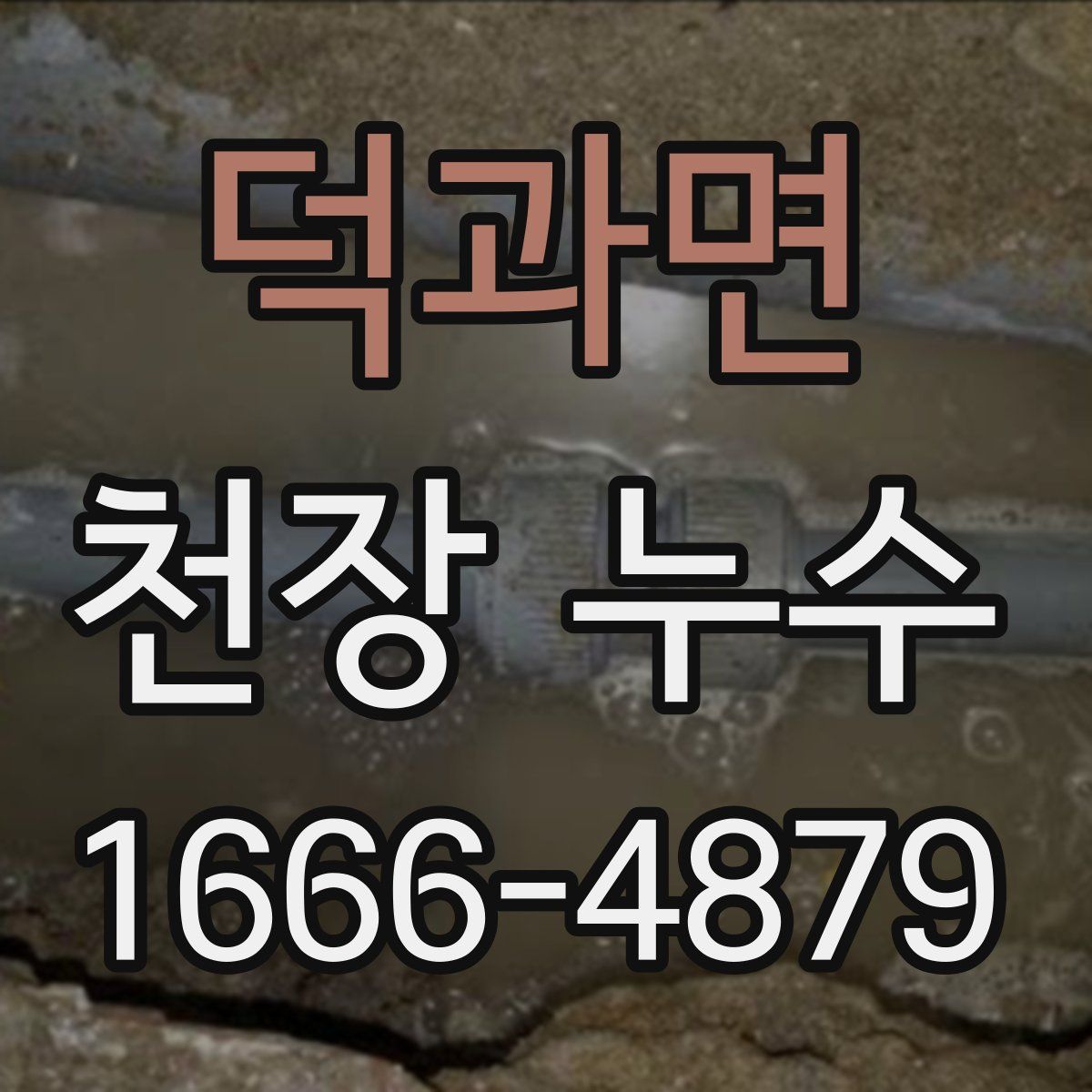 덕과면 천장 누수