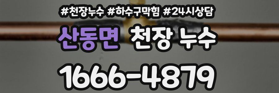 산동면 천장 누수