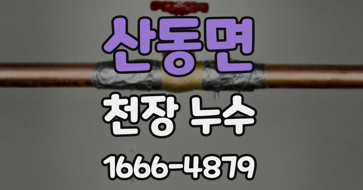 산동면 천장 누수