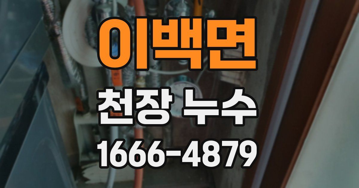 이백면 천장 누수