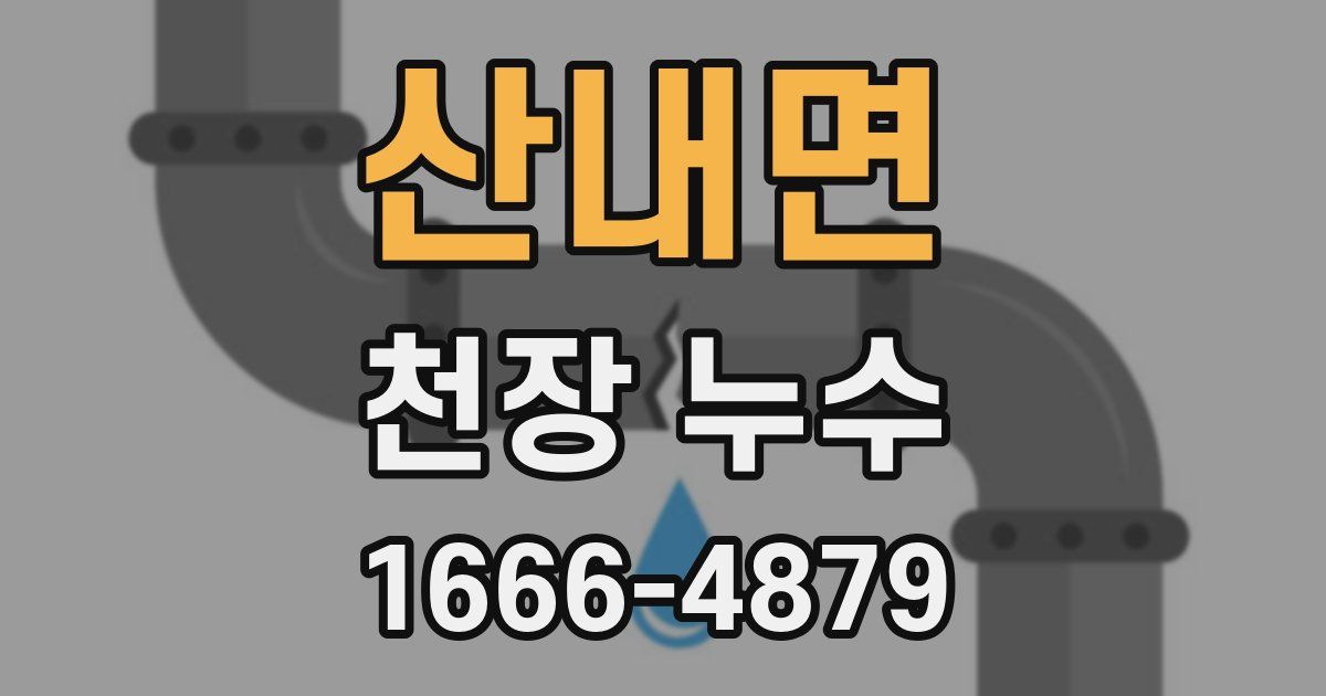 산내면 천장 누수