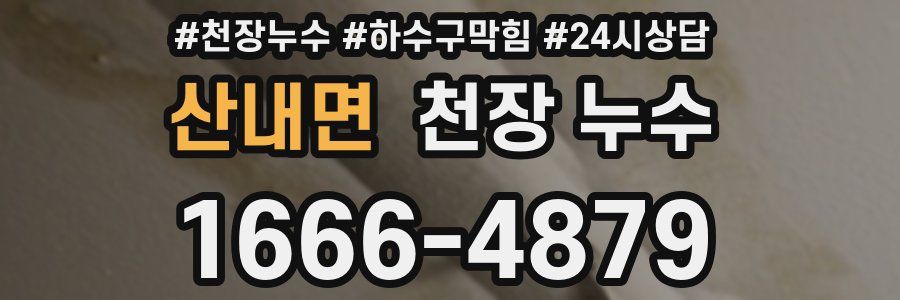산내면 천장 누수